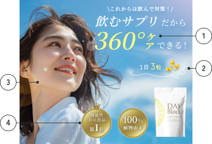 キャプチャ画像：デイブロック 制作のポイント