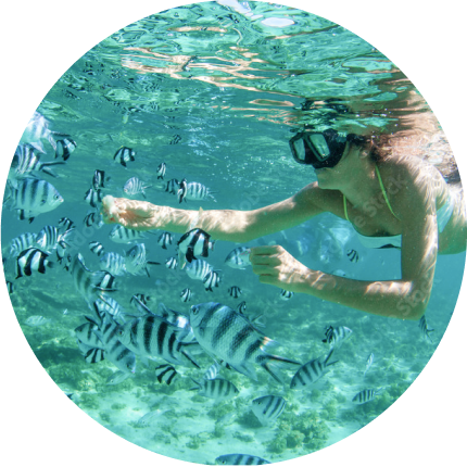 画像：シュノーケリング