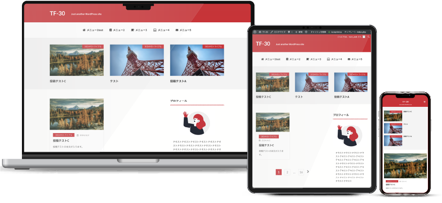 ホームページ　TF-30