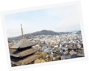 写真:街を見下ろしています。天寧寺 海雲塔や、たくさんの家や、海と山が写っています。